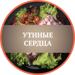 syrtca